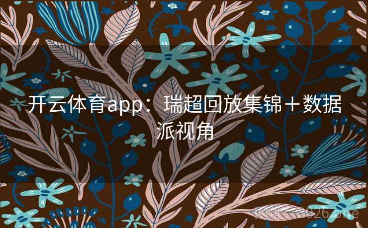 开云体育app：瑞超回放集锦＋数据派视角  第2张