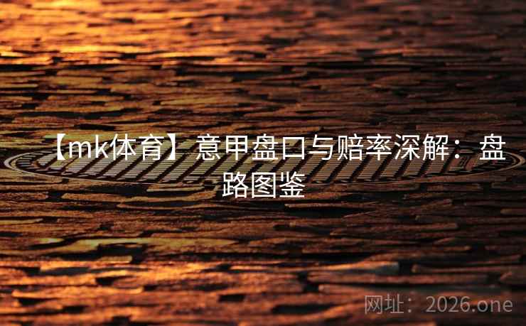 【mk体育】意甲盘口与赔率深解:盘路图鉴 第2张 【mk体育】意甲盘口与赔率深解:盘路图鉴 第2张