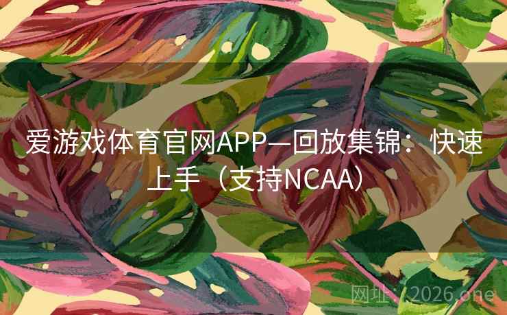 爱游戏体育官网APP—回放集锦：快速上手（支持NCAA）  第2张